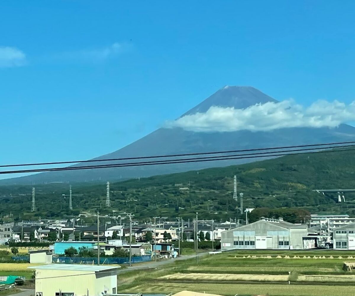 Instagram Image