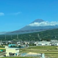 Instagram Image