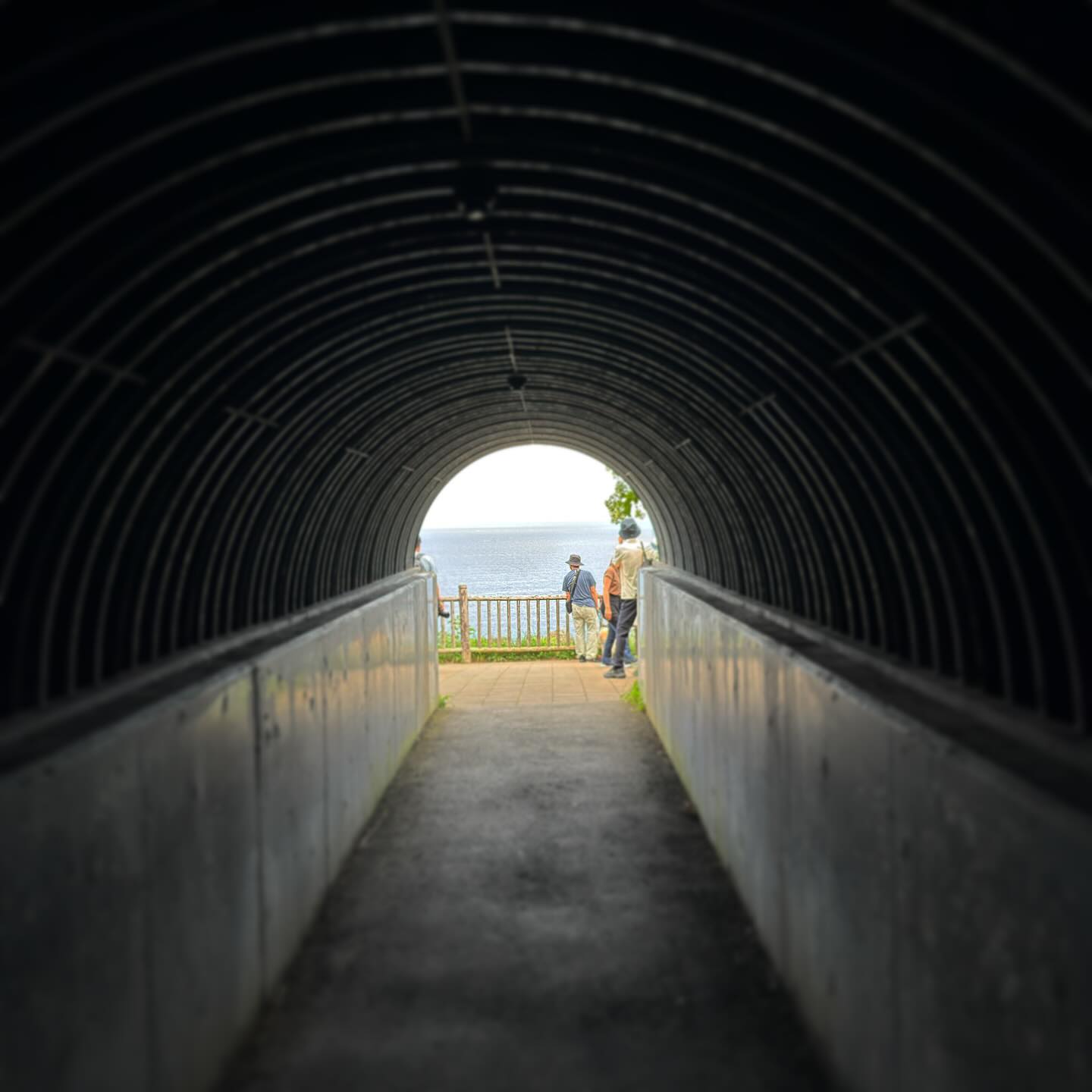 Instagram Image